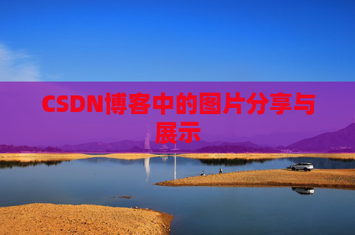 CSDN博客中的图片分享与展示